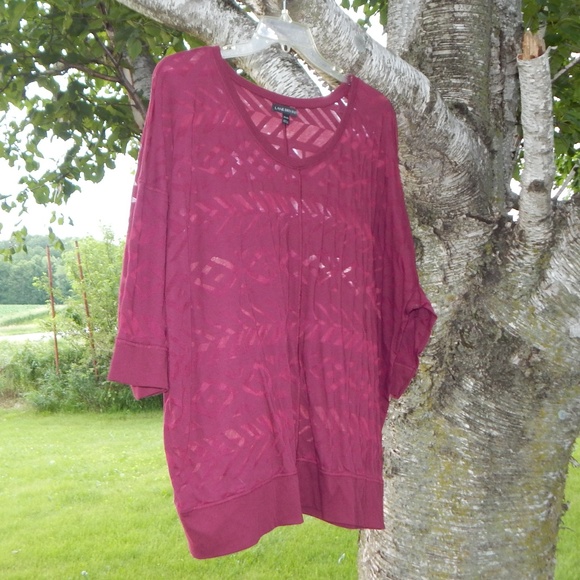 Lane Bryant Tops - Lane Bryant Burnout Dolman Top Lane Bryant Tops - Lane Bryant Burnout Dolman Top